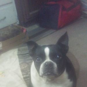 Meet your Posher, Jeffrey